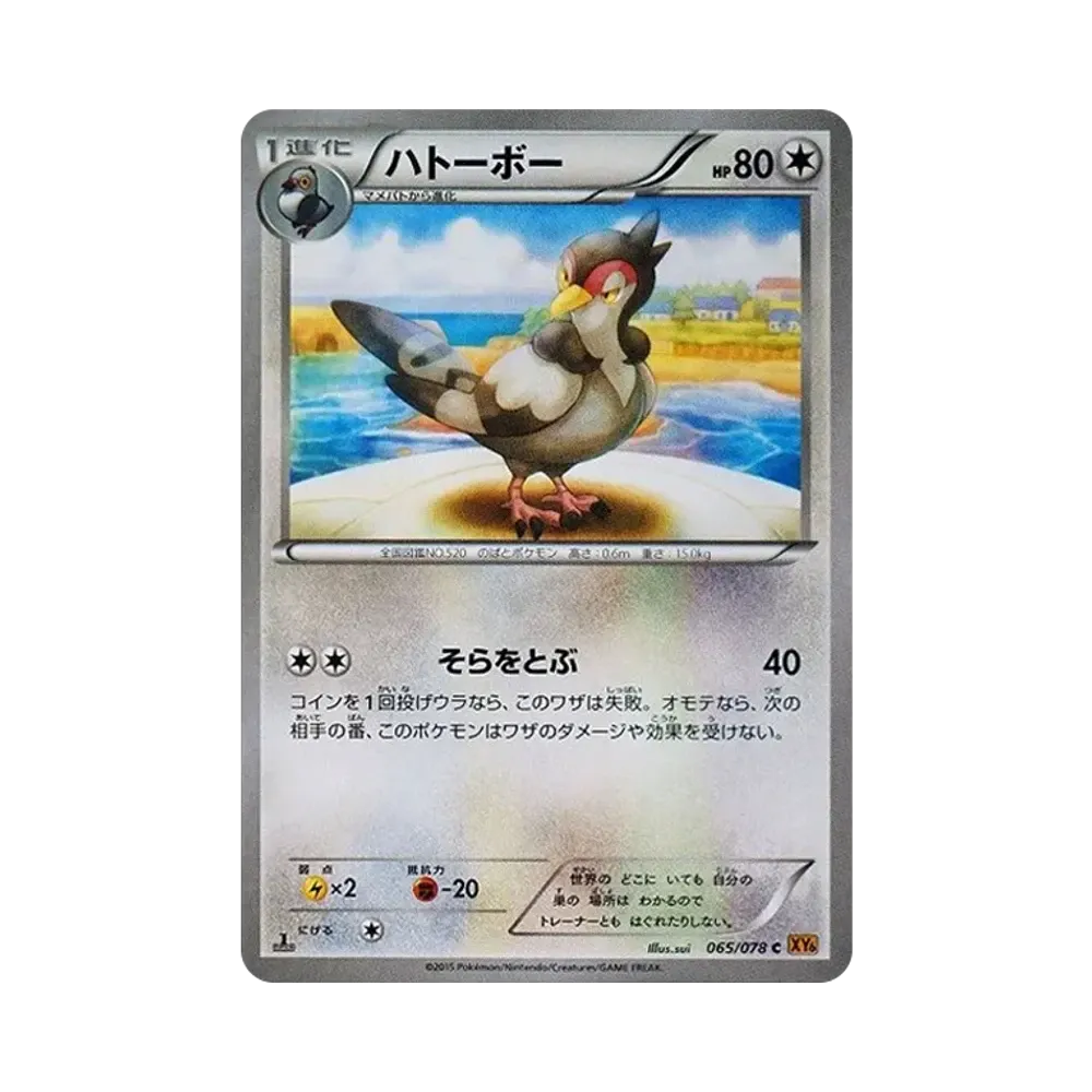波波鴿