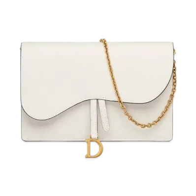 Dior Saddle Pouch Grained Calfskin "Latte"