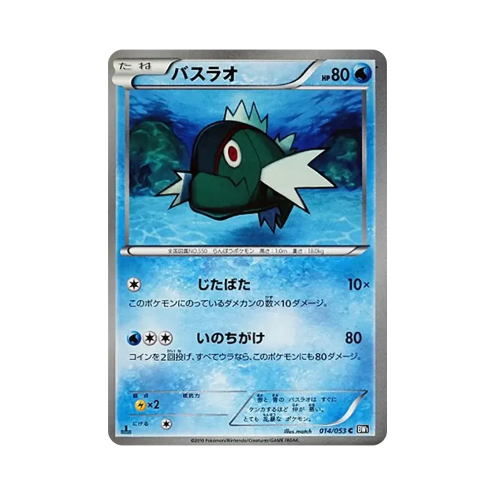 勇士鱸魚