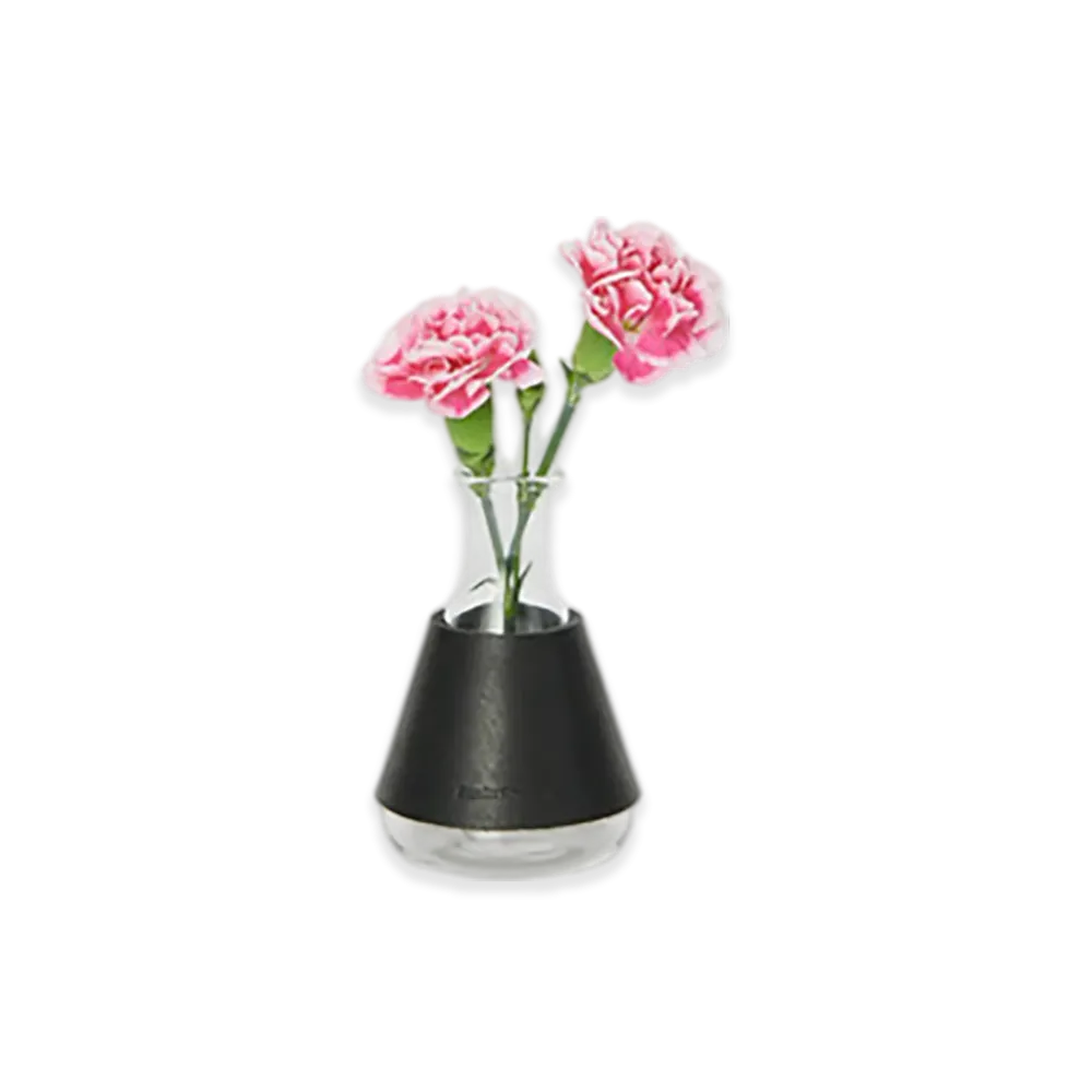 Hender Scheme Erlenmeyer Flask/100ml "Black"