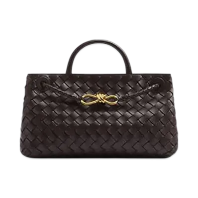 Bottega Veneta East-West Andiamo "Fondant"
