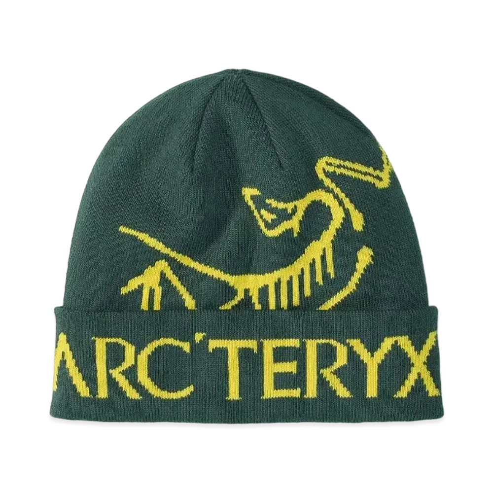 ARC'TERYX Bird Word Talk X000006644 "Pytheas/Lampyre"