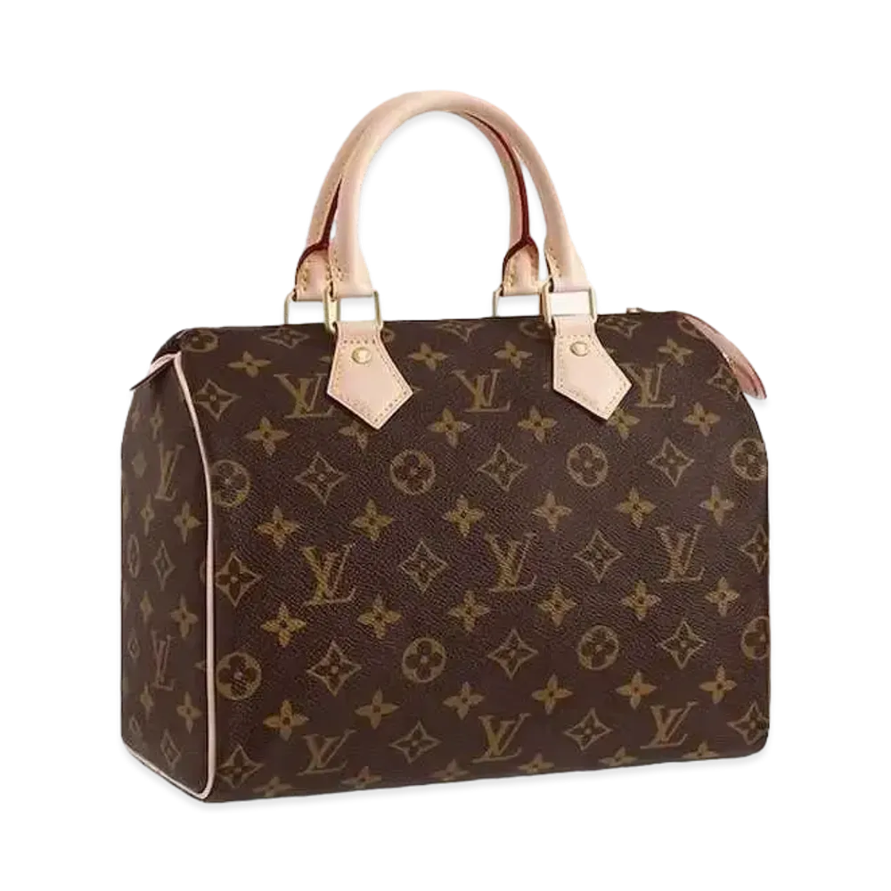 Louis Vuitton Speedy 25 Monogram