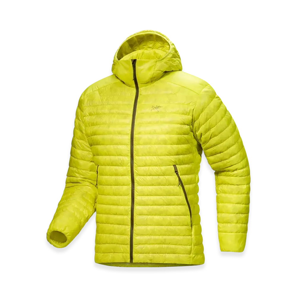 ARC'TERYX Cerium SL Hoody M "Euphoria/Tatsu" X000009558