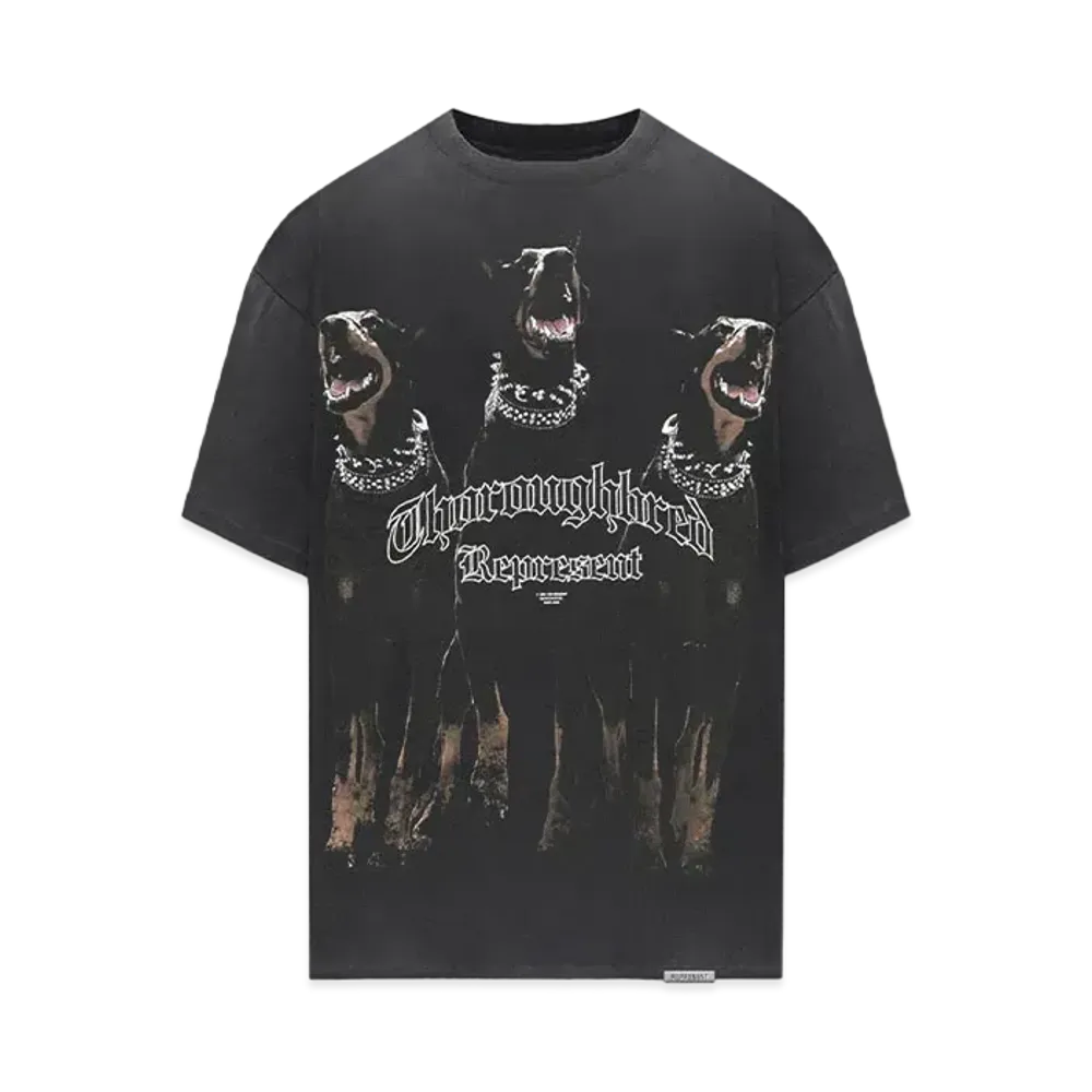 REPRESENT Horizons T-Shirt "Vintage Black"