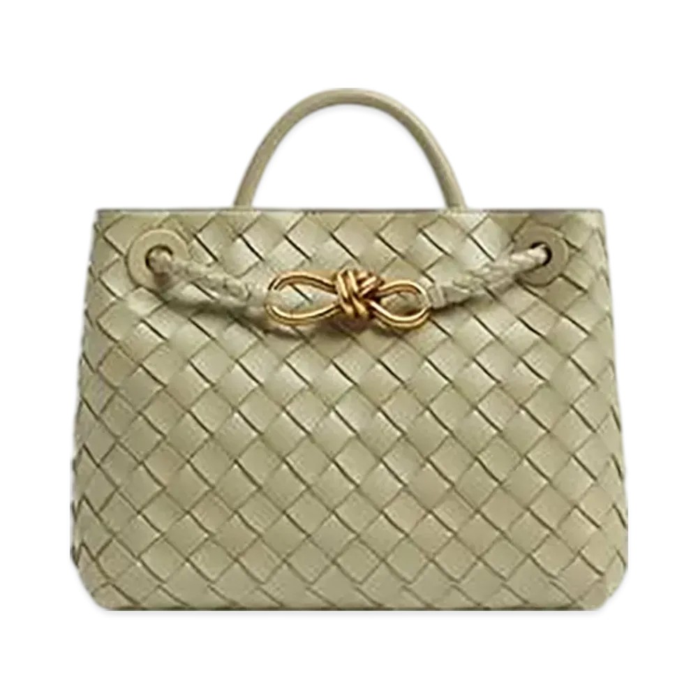 Bottega Veneta Small Andiamo "Travertine"