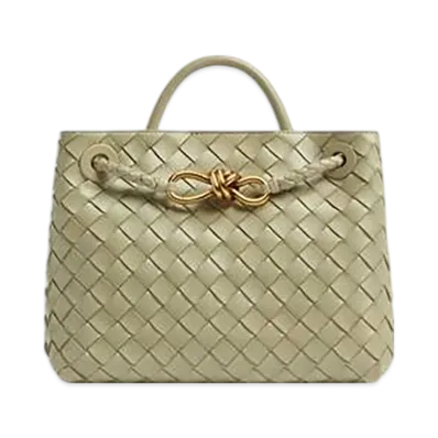 Bottega Veneta Small Andiamo "Travertine"