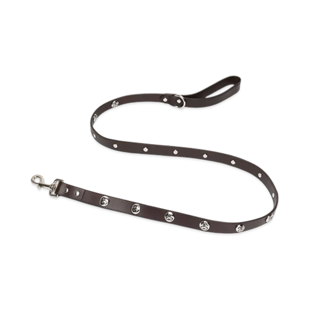 Stussy Studded Dog Leash "Brown"