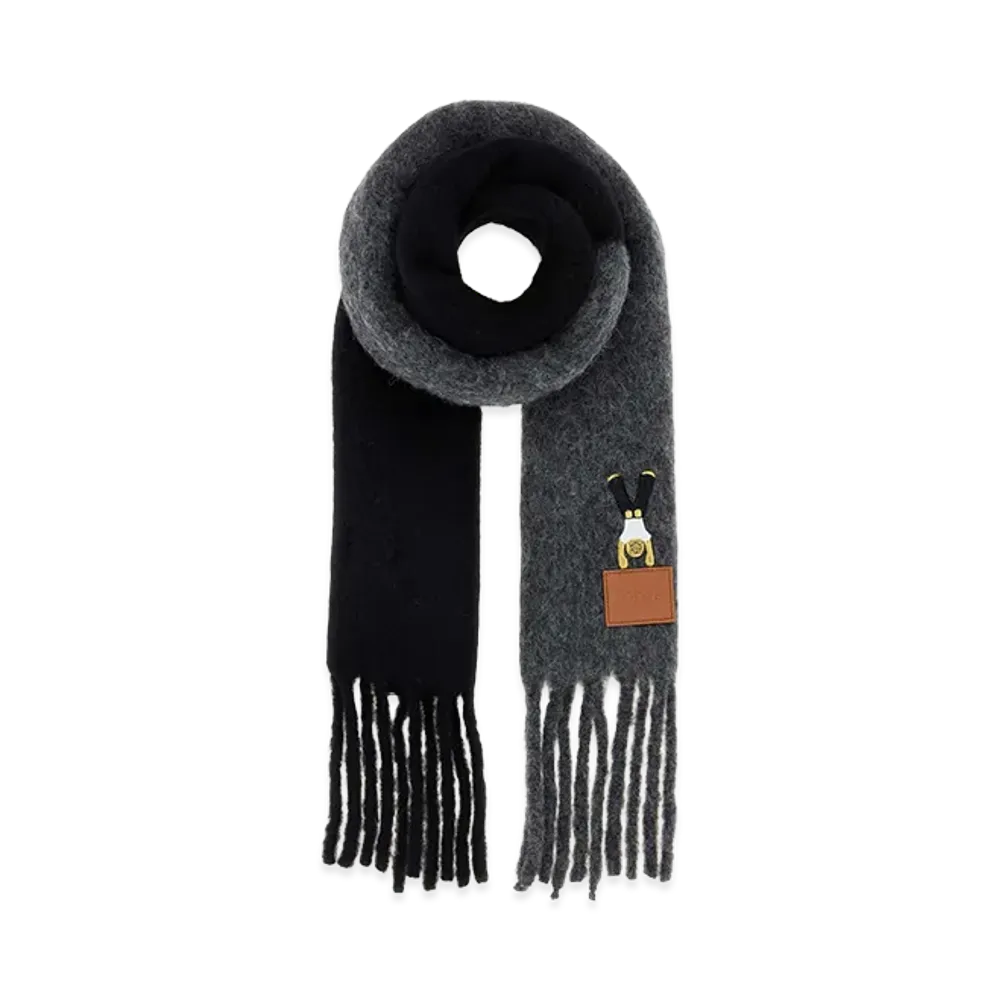 LOEWE Women's Alpaca Blend Scarf "Multicolor"
