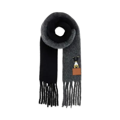 LOEWE Women's Alpaca Blend Scarf "Multicolor"