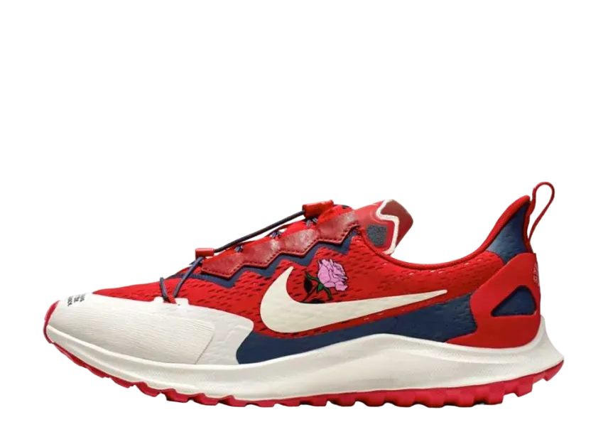 GYAKUSOU×ナイキ エアズームペガサス 36 トレイル レッド