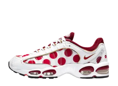 NIKE AIR MAX TAILWIND 4 "NIPPON"