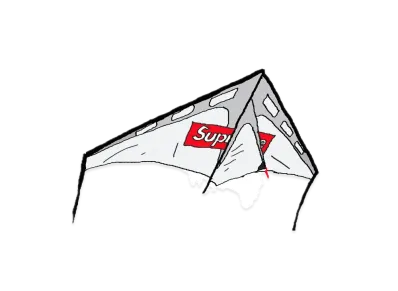Supreme / Prism Zenith 5 Kite "White"