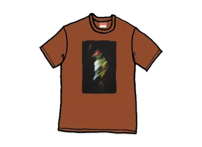 Supreme Raphael Tee "Brown"