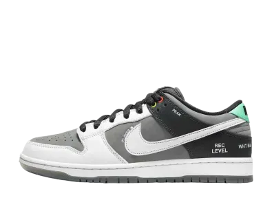 ナイキ SB ダンク ロー プロ "VX1000 カムコーダ"