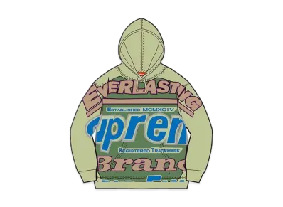 Supreme Everlasting Hooded Sweatshirt "Green"