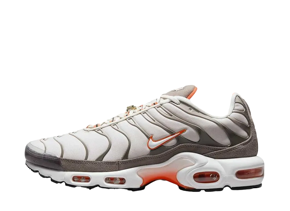 Nike Air Max Plus "First Use Brown"