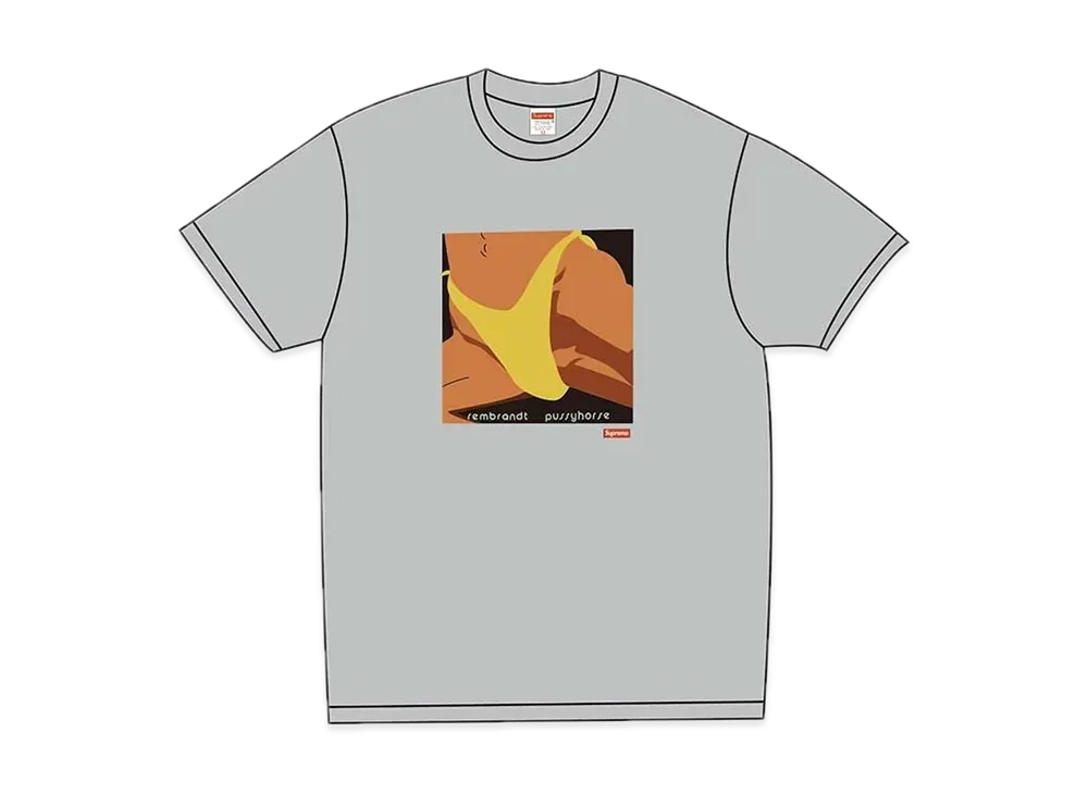Supreme / Butthole Surfers Rembrandt Pussyhorse Tee "Grey"