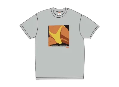 Supreme / Butthole Surfers Rembrandt Pussyhorse Tee "Grey"