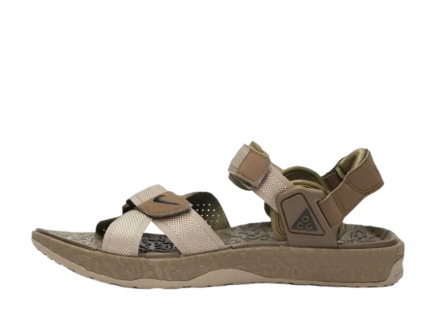 ナイキ ACG エア デシューツ プラス "ムーン フォッシル"