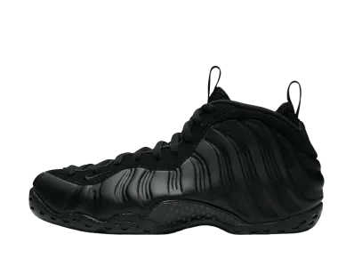 Nike Air Foamposite One "Anthracite" (2020)