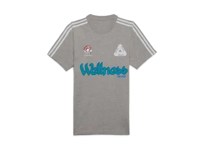 PALACE x ADIDAS GRAPHIC T-SHIRT "Grey"