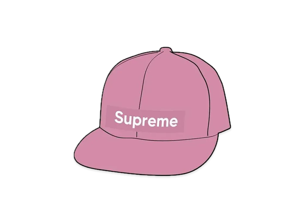 Supreme WINDSTOPPER Earflap Box Logo New Era "Pink"