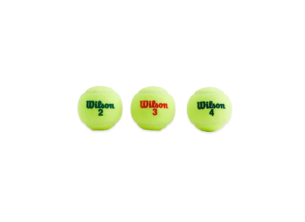 Kith Wilson Regular Duty Tennis Balls "Ray"