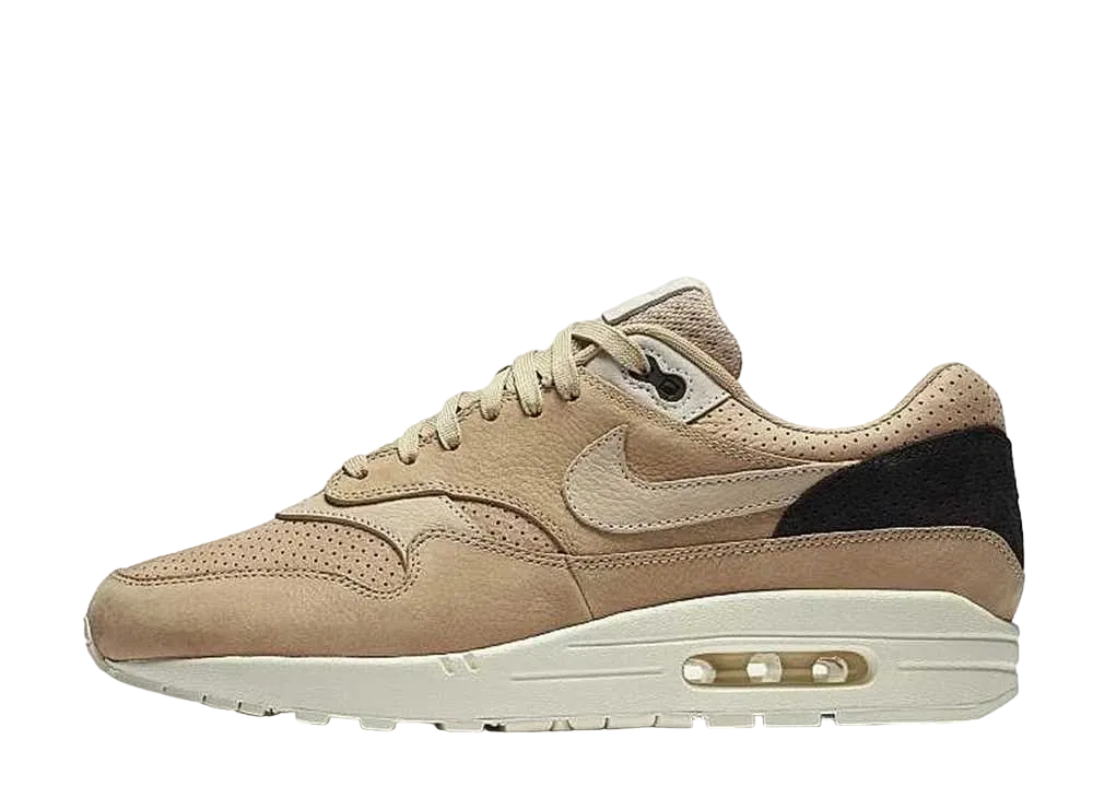 ナイキ エアマックス1 ピナクル