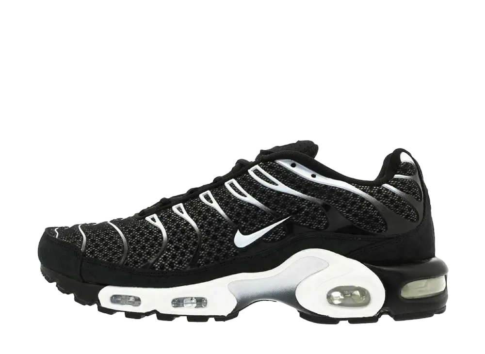 ナイキ エアマックス プラス "ブラック セイル"