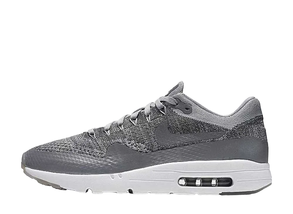 ナイキ エアマックス1 ウルトラ "ウルフグレー"