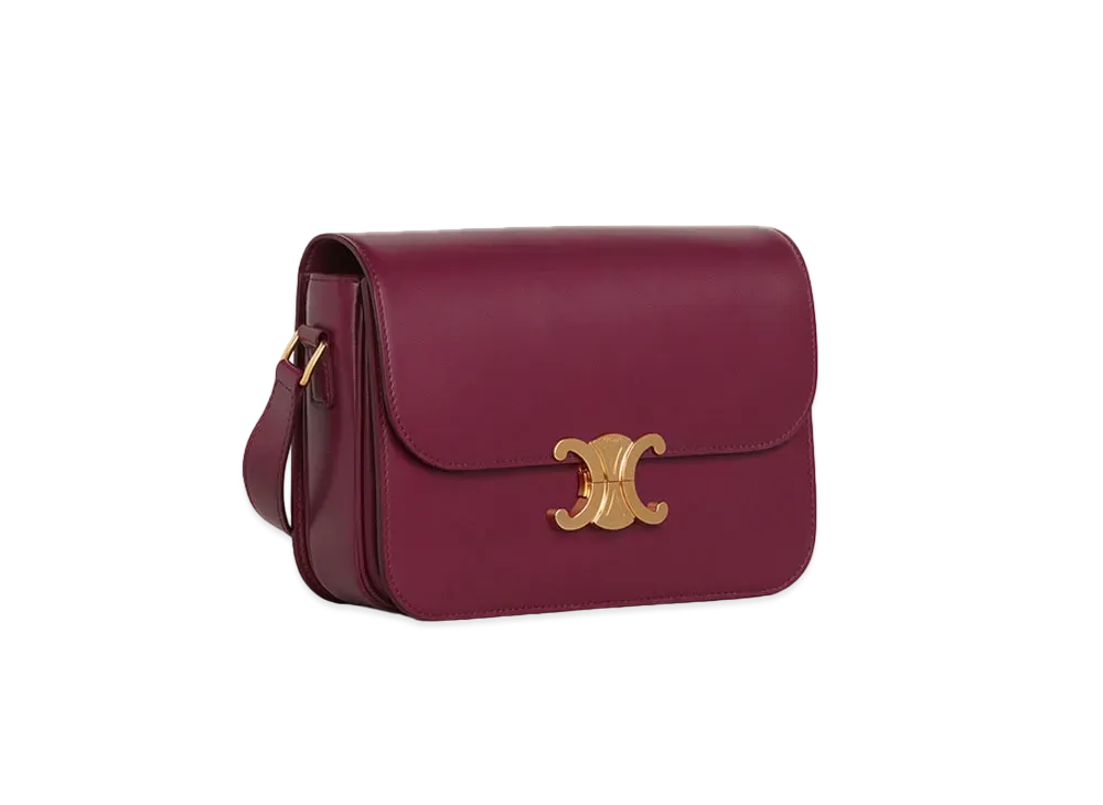 CELINE Medium Triomphe Bag in Shiny Calfskin "Acai"