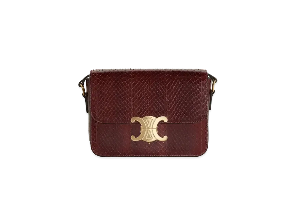 CELINE Teen Triomphe Bag in Whips "Brown"