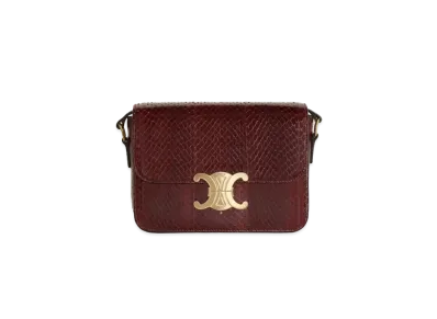 CELINE Teen Triomphe Bag in Whips "Brown"