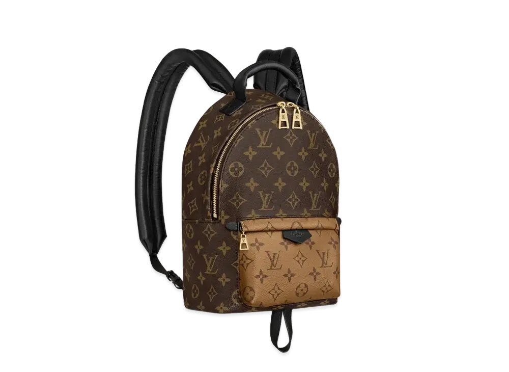 Louis Vuitton Palm Springs PM Monogram Reverse