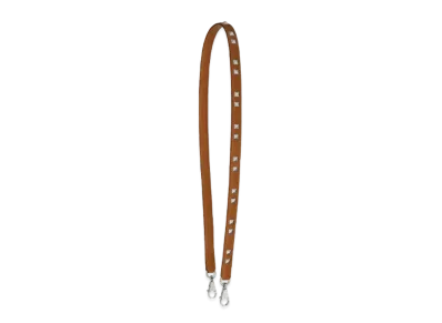 Hermes Mini Chien Carré 16Mm Bandouliere "Gold"
