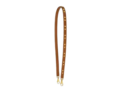 Hermes Mini Chien Carré 16Mm Bandouliere "Gold"