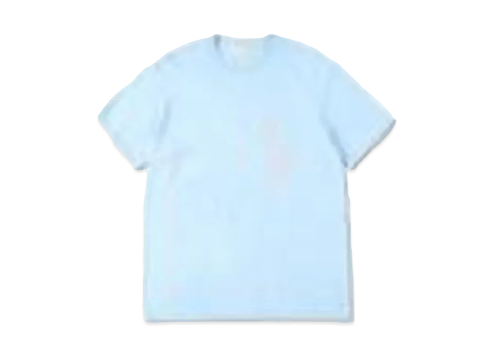 WIND AND SEA T-Shirt "Blue/Gray"