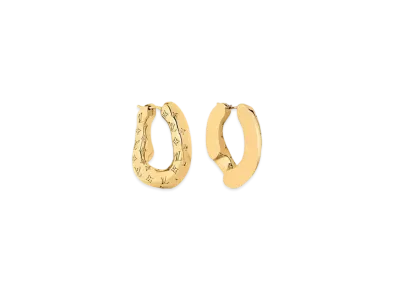 Louis Vuitton 2D Earrings
