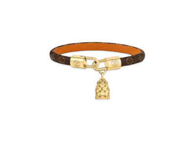 Louis Vuitton LV Palm Springs Bracelet Monogram