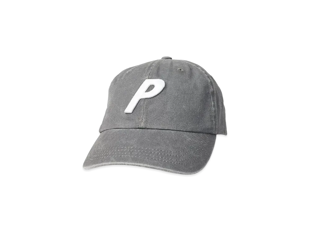 PALACE PIGMENT 3D P 6-PANEL "Grey"