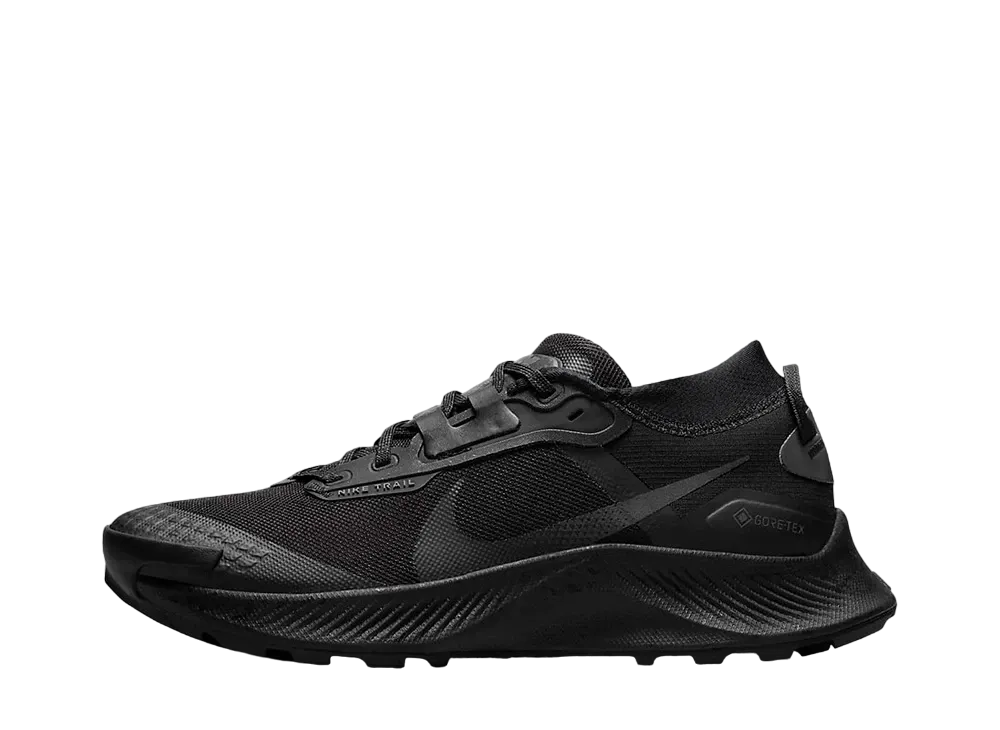 ナイキ ウィメンズ ペガサス トレイル 3 ゴアテックス "ブラック"