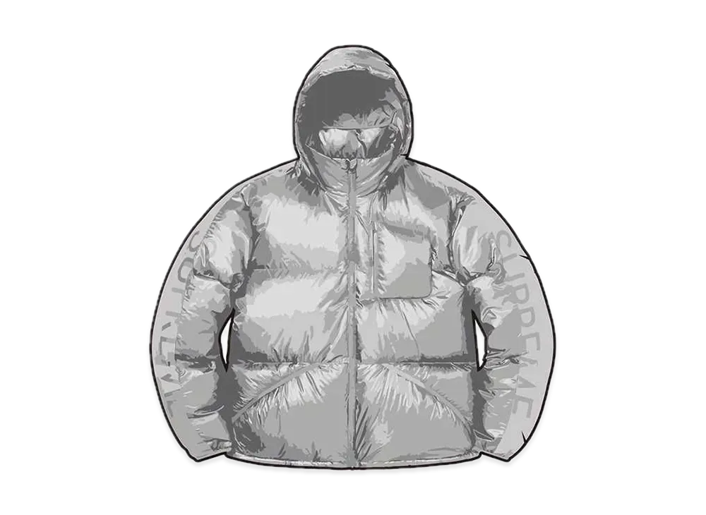 Supreme Featherweight Down Jacket "Grey"