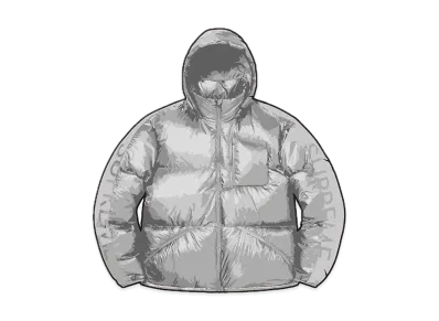 Supreme Featherweight Down Jacket "Grey"