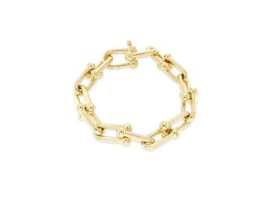 Tiffany & Co. HardWear Link Bracelet in 18k Gold