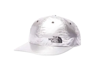 Supreme x The North Face Metallic 6-Panel "Silver"