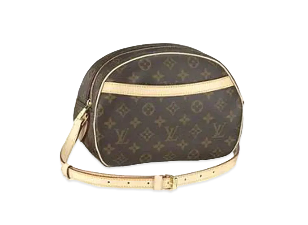 Louis Vuitton Blower Monogram