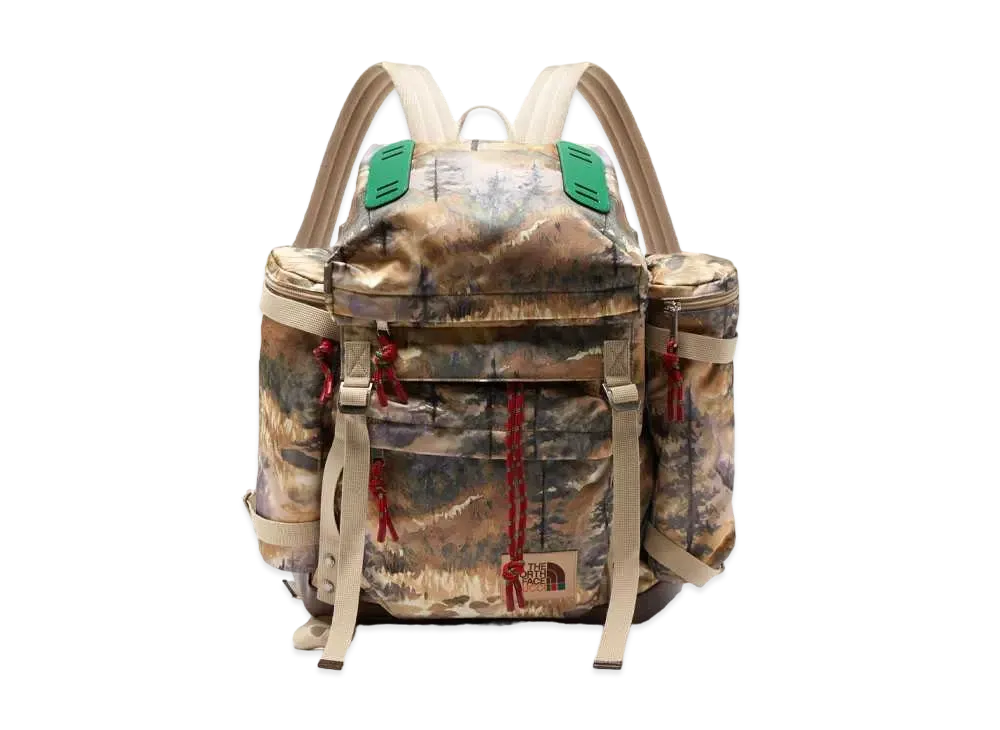 グッチ x ザノースフェイス ランドスケープ プリント シェル バックパック "ブラウン"