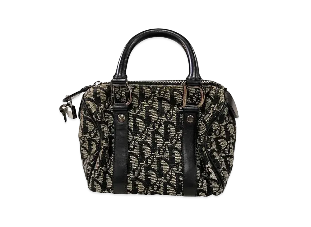 Dior Trotter Saddle Mini Hand bag