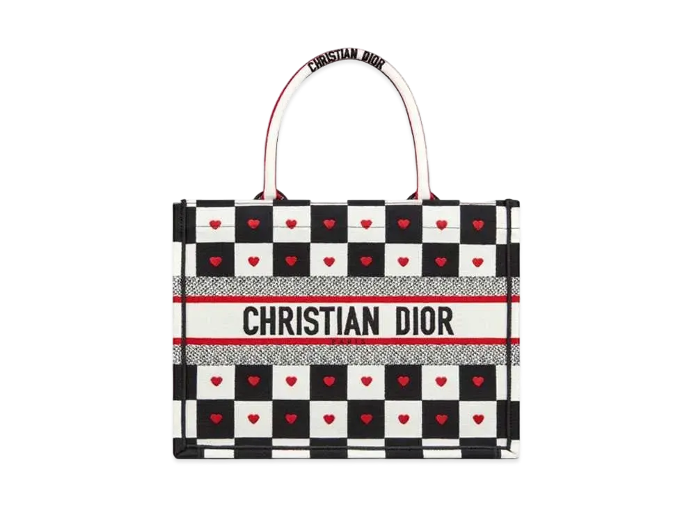 Dior Book Tote Small Amur Collection